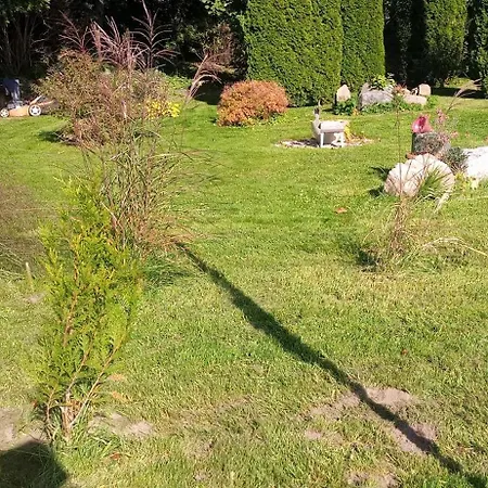 Κάμπινγκ Letniskowy W Olszewie Olecko