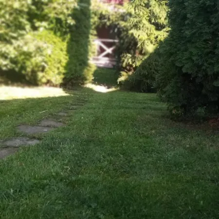 Letniskowy W Olszewie