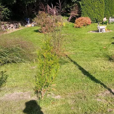 Κάμπινγκ Letniskowy W Olszewie Olecko